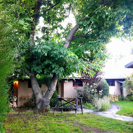 Cabanas Los Nonos Эль-Больсон Экстерьер фото